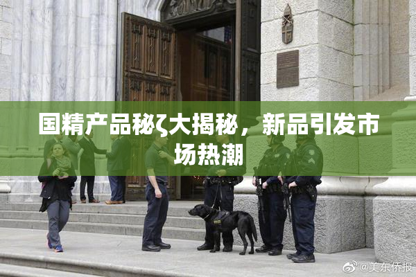 国精产品秘ζ大揭秘，新品引发市场热潮
