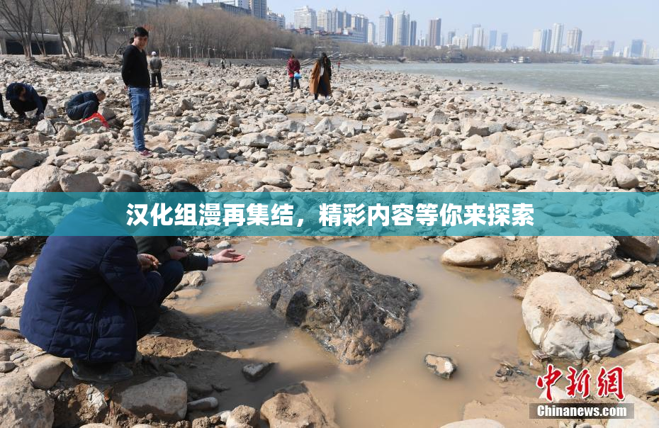汉化组漫再集结，精彩内容等你来探索