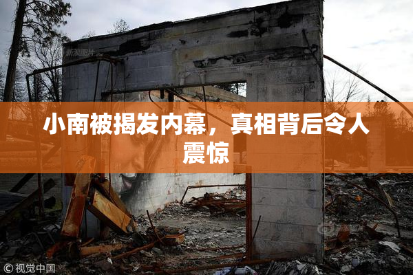 小南被揭发内幕，真相背后令人震惊