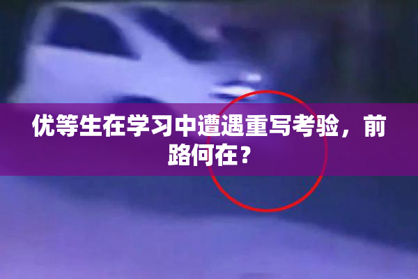 优等生在学习中遭遇重写考验，前路何在？