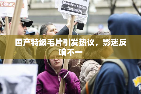 国产特级毛片引发热议，影迷反响不一