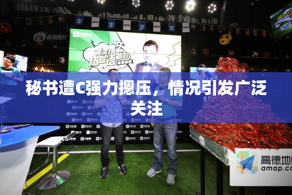 秘书遭C强力摁压，情况引发广泛关注