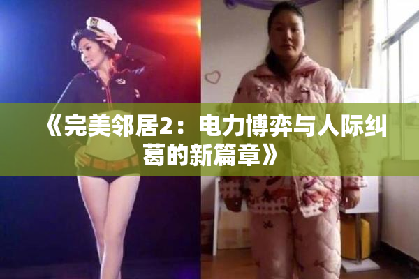 《完美邻居2：电力博弈与人际纠葛的新篇章》