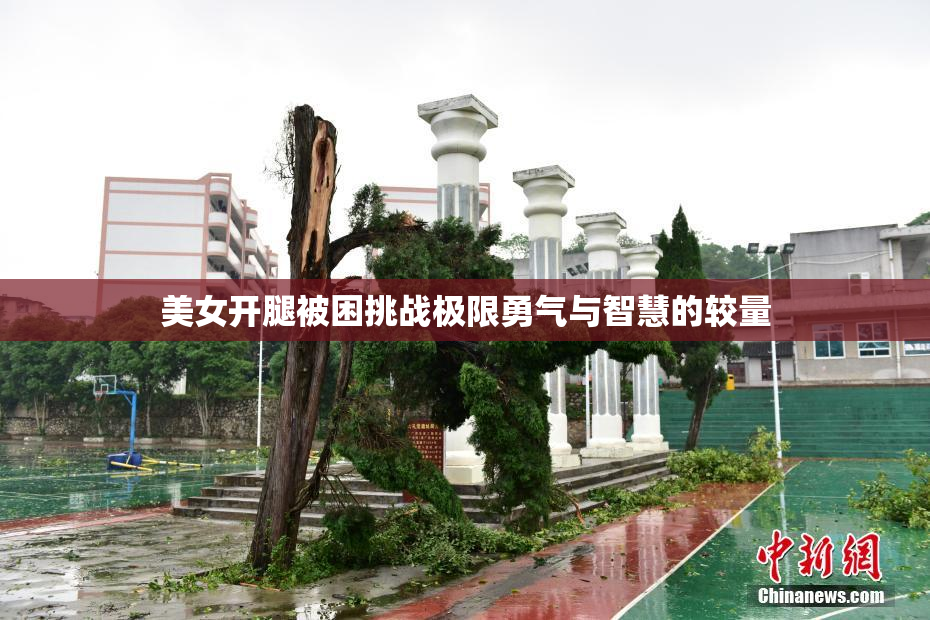 美女开腿被困挑战极限勇气与智慧的较量