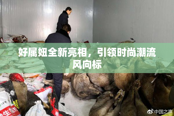 好属妞全新亮相，引领时尚潮流风向标