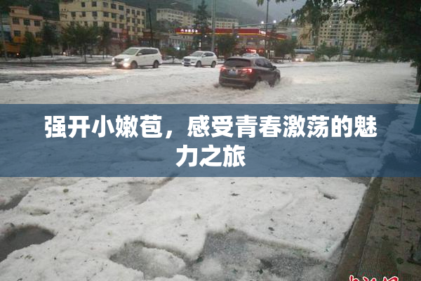 强开小嫩苞，感受青春激荡的魅力之旅