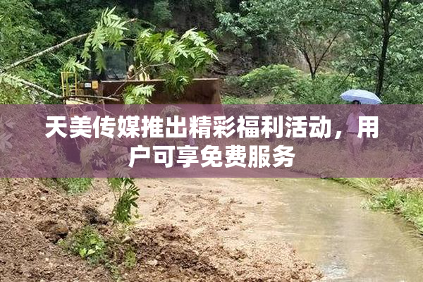 天美传媒推出精彩福利活动，用户可享免费服务