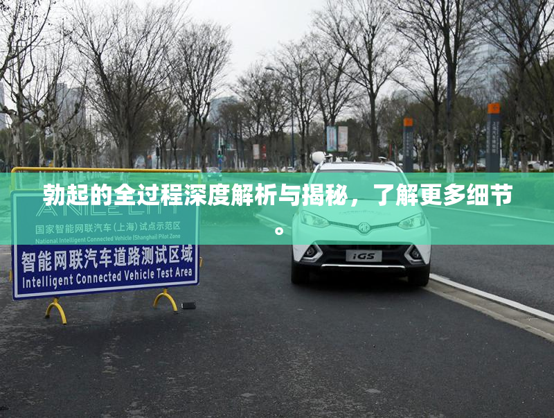 勃起的全过程深度解析与揭秘，了解更多细节。