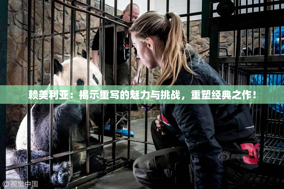 赖美利亚：揭示重写的魅力与挑战，重塑经典之作！