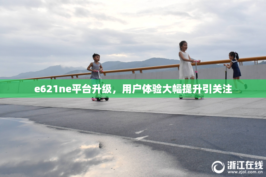 e621ne平台升级，用户体验大幅提升引关注