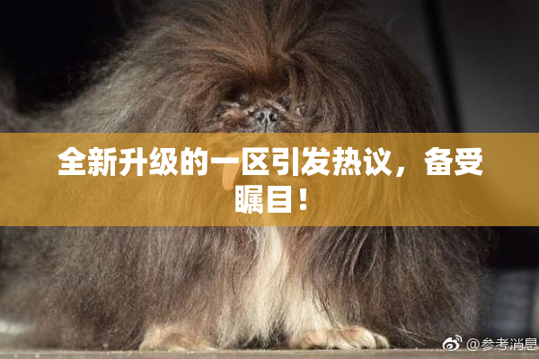 全新升级的一区引发热议，备受瞩目！