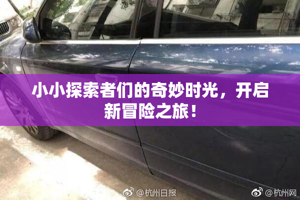 小小探索者们的奇妙时光，开启新冒险之旅！