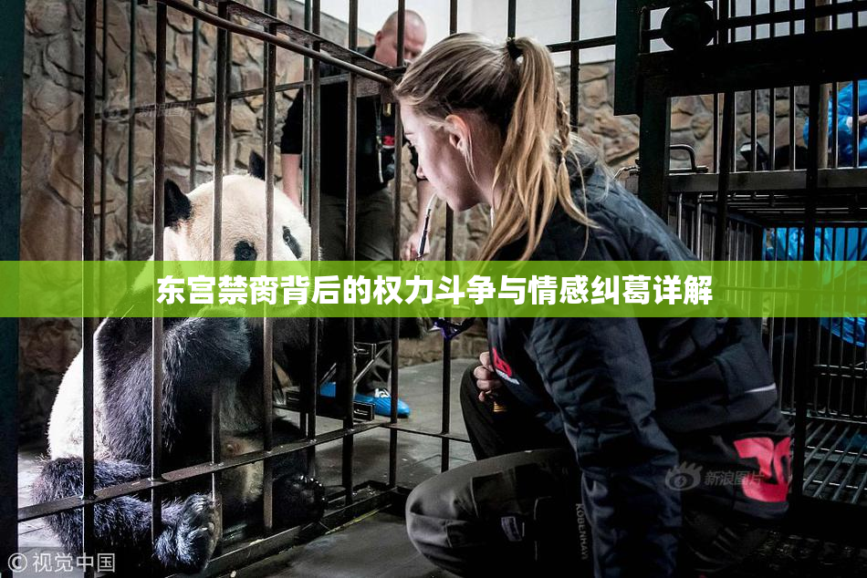 东宫禁脔背后的权力斗争与情感纠葛详解