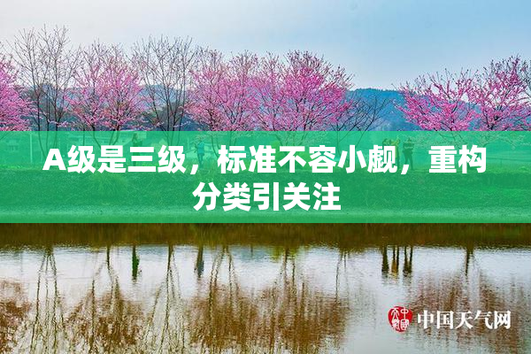 A级是三级，标准不容小觑，重构分类引关注