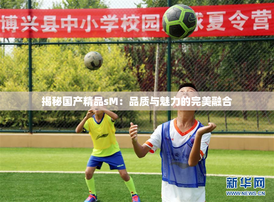 揭秘国产精品sM：品质与魅力的完美融合