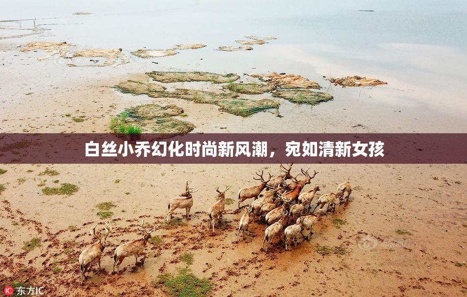 白丝小乔幻化时尚新风潮，宛如清新女孩