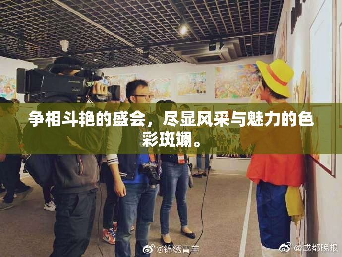 争相斗艳的盛会，尽显风采与魅力的色彩斑斓。