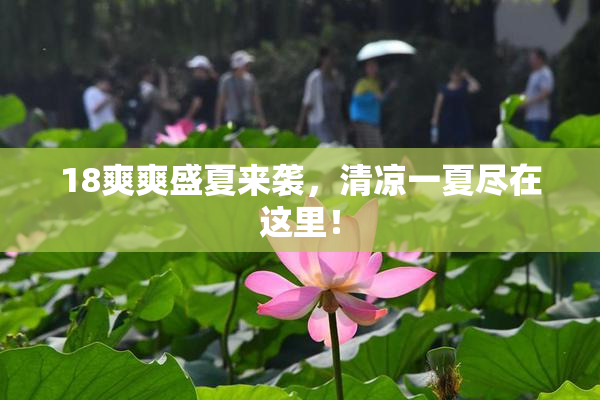 18爽爽盛夏来袭，清凉一夏尽在这里！