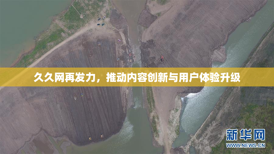 久久网再发力，推动内容创新与用户体验升级