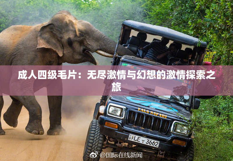 成人四级毛片：无尽激情与幻想的激情探索之旅
