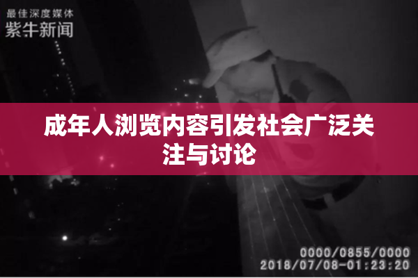 成年人浏览内容引发社会广泛关注与讨论
