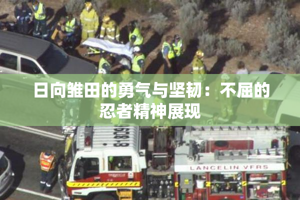 日向雏田的勇气与坚韧：不屈的忍者精神展现