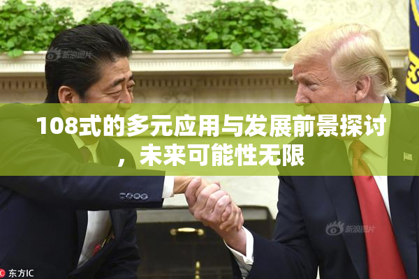 108式的多元应用与发展前景探讨，未来可能性无限