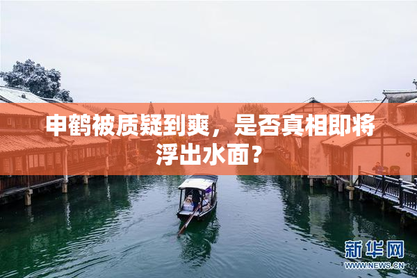 申鹤被质疑到爽，是否真相即将浮出水面？