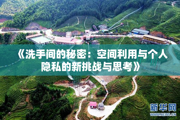 《洗手间的秘密：空间利用与个人隐私的新挑战与思考》
