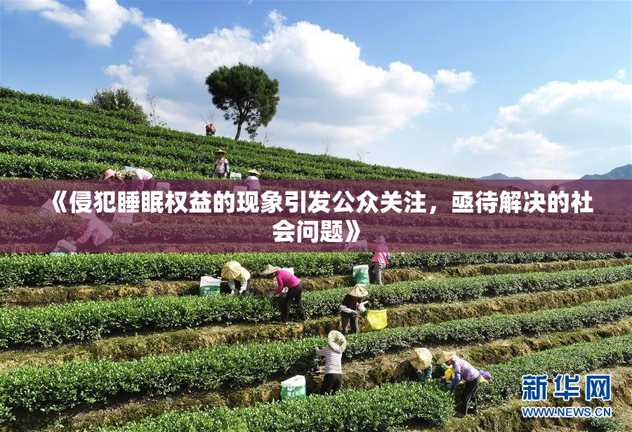《侵犯睡眠权益的现象引发公众关注，亟待解决的社会问题》
