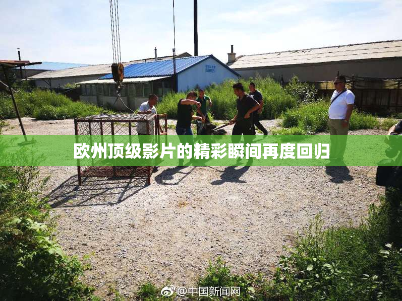 欧州顶级影片的精彩瞬间再度回归