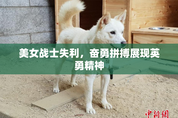 美女战士失利，奋勇拼搏展现英勇精神