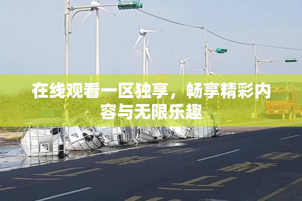 在线观看一区独享，畅享精彩内容与无限乐趣