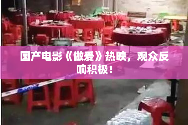 国产电影《做爰》热映，观众反响积极！