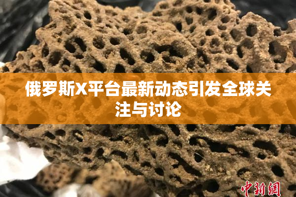 俄罗斯X平台最新动态引发全球关注与讨论