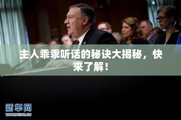 主人乖乖听话的秘诀大揭秘，快来了解！