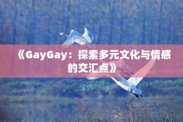 《GayGay：探索多元文化与情感的交汇点》