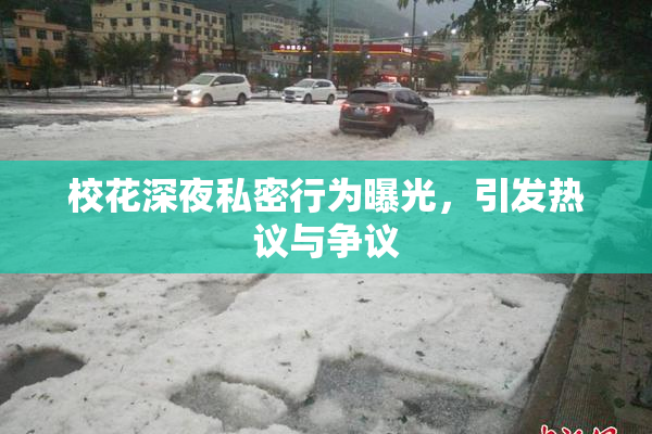 校花深夜私密行为曝光，引发热议与争议