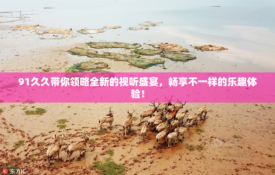 91久久带你领略全新的视听盛宴，畅享不一样的乐趣体验！