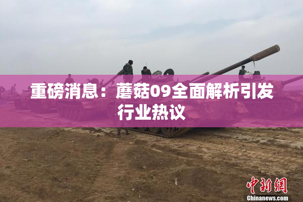 重磅消息：蘑菇09全面解析引发行业热议