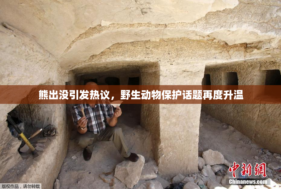熊出没引发热议，野生动物保护话题再度升温