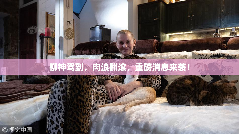 柳神驾到，肉浪翻滚，重磅消息来袭！