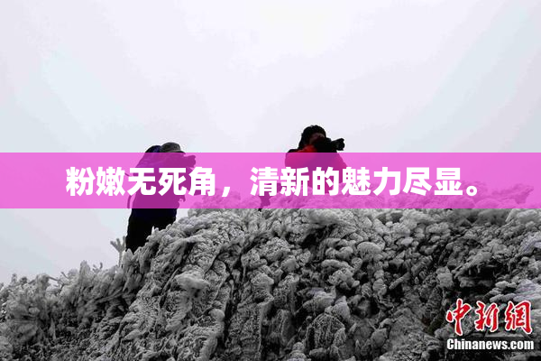粉嫩无死角，清新的魅力尽显。