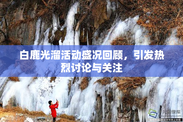 白鹿光溜活动盛况回顾，引发热烈讨论与关注