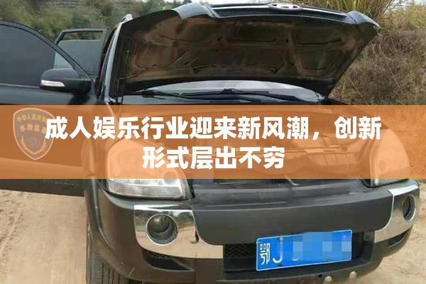 成人娱乐行业迎来新风潮，创新形式层出不穷