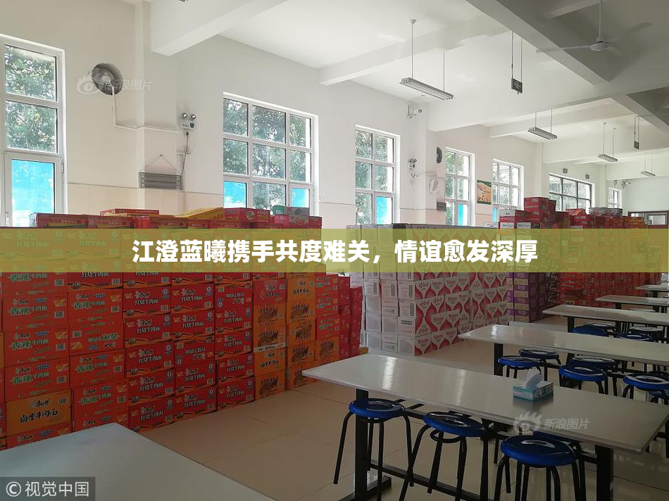 江澄蓝曦携手共度难关，情谊愈发深厚