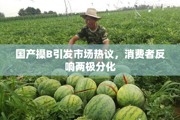 国产搡B引发市场热议，消费者反响两极分化