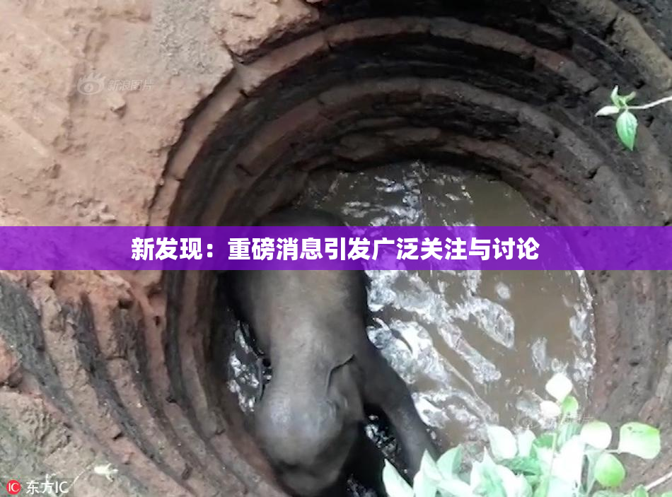 新发现：重磅消息引发广泛关注与讨论