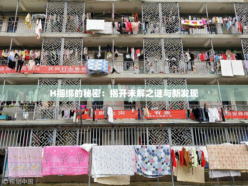 H捆绑的秘密：揭开未解之谜与新发现