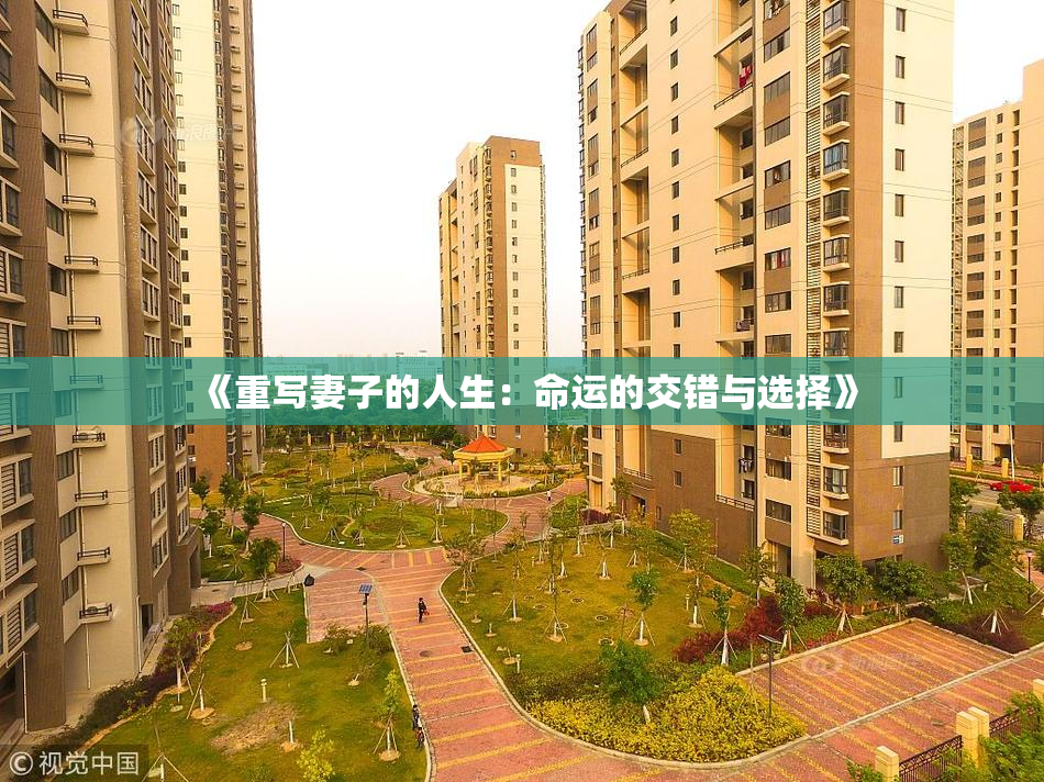 《重写妻子的人生：命运的交错与选择》